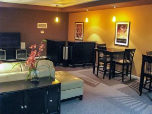Rec room with bar