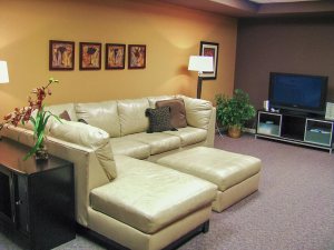 Rec room with sectional