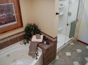 Bath tub and shower
